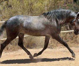 Grand, agr&eacute;able et facile