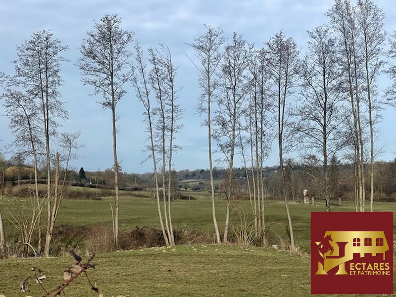 A vendre  &agrave; proximit&eacute; de Lisieux propri&eacute;t&eacute; sur 16 ha