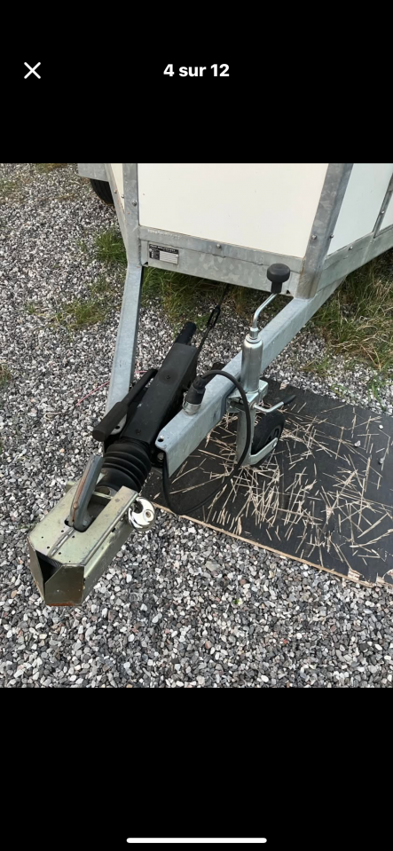 Van  chevaux occasion