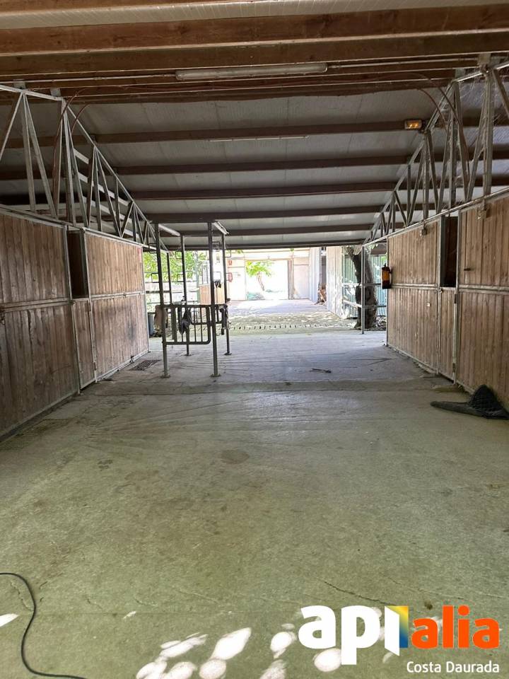 Propri&eacute;t&eacute; &eacute;questre A louer Tarragone