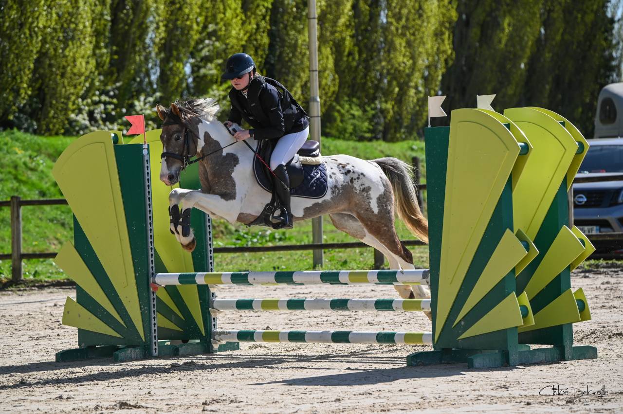 Recherche apprentissage BPJEPS 