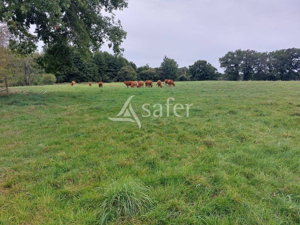 Propri&eacute;t&eacute; d'environ 12,20 ha tr&egrave;s bien structur&eacute;e