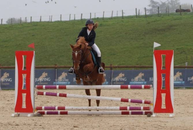 Recherche d'emploi milieu equestre