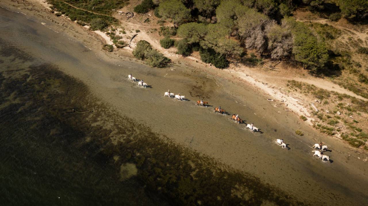 Bouches-du-Rh&ocirc;ne (13) SAINTES MARIES DE LA MER (13460) 