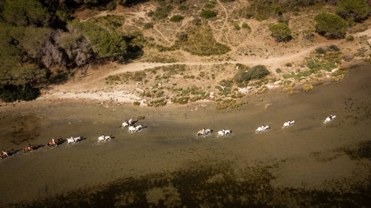 Bouches-du-Rh&ocirc;ne (13) SAINTES MARIES DE LA MER (13460) 