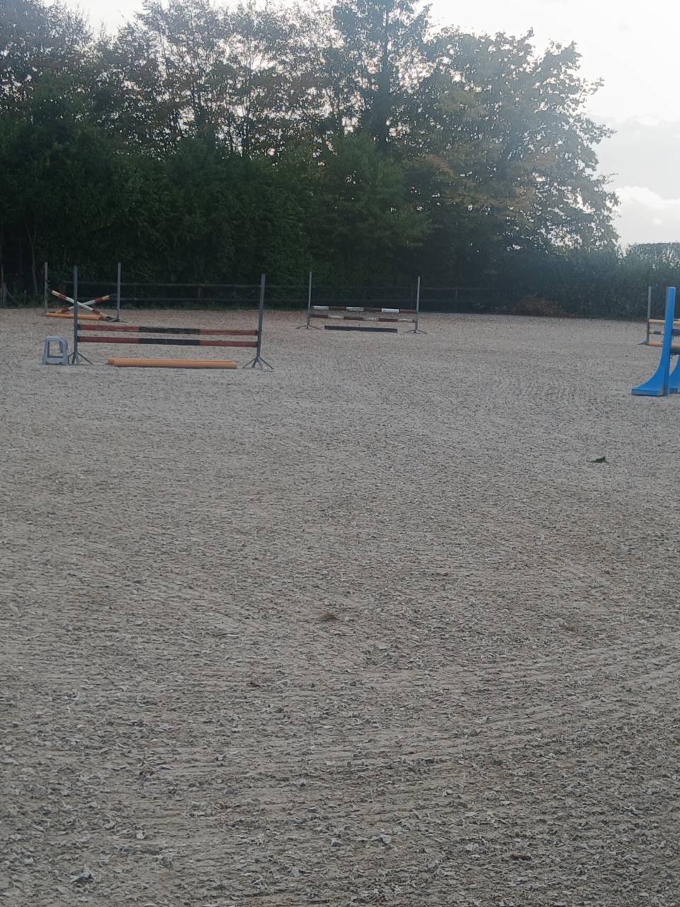 Location ecuries brabant wallon r&eacute;gion nivelles 