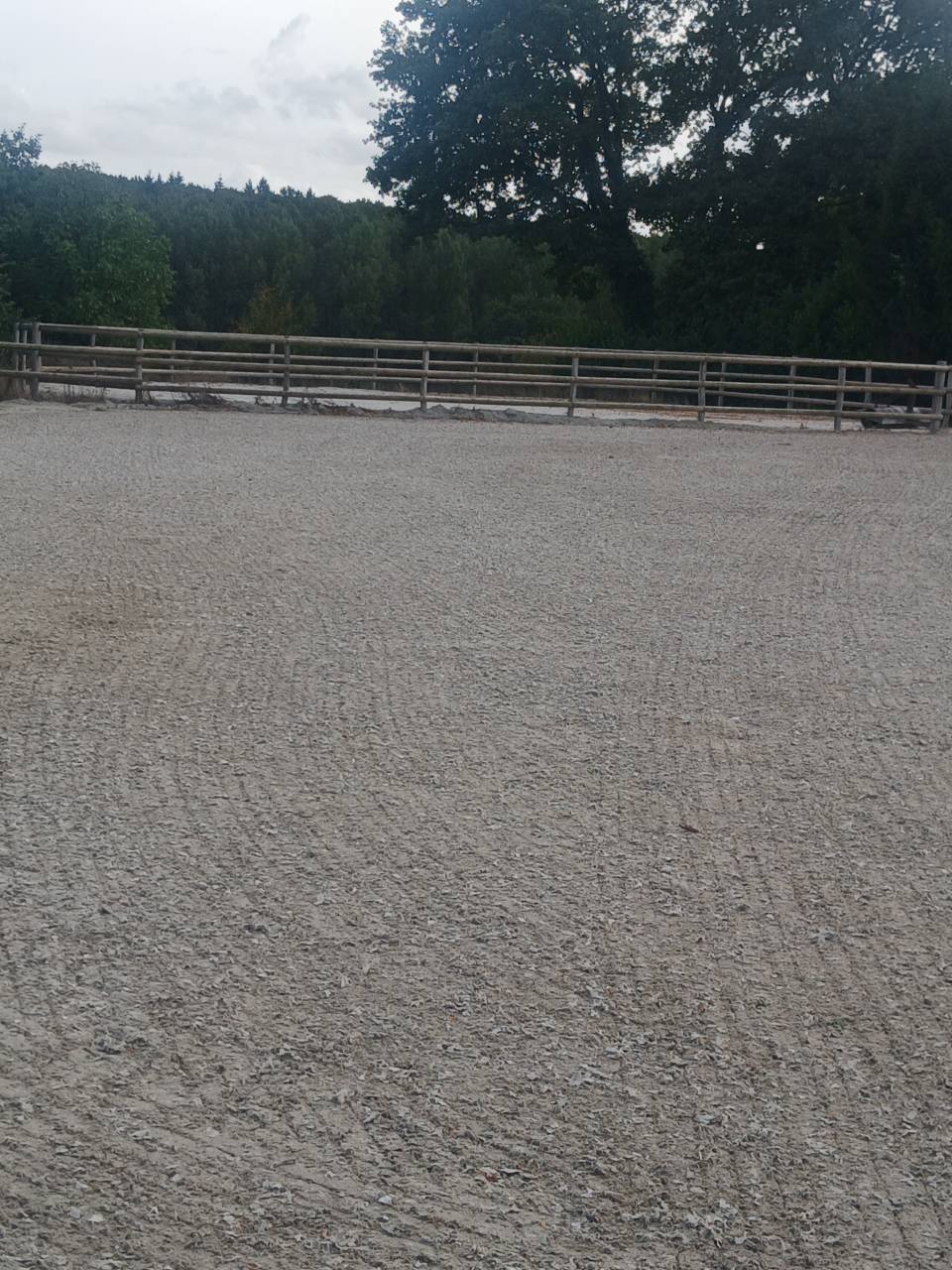 Location ecuries brabant wallon r&eacute;gion nivelles 