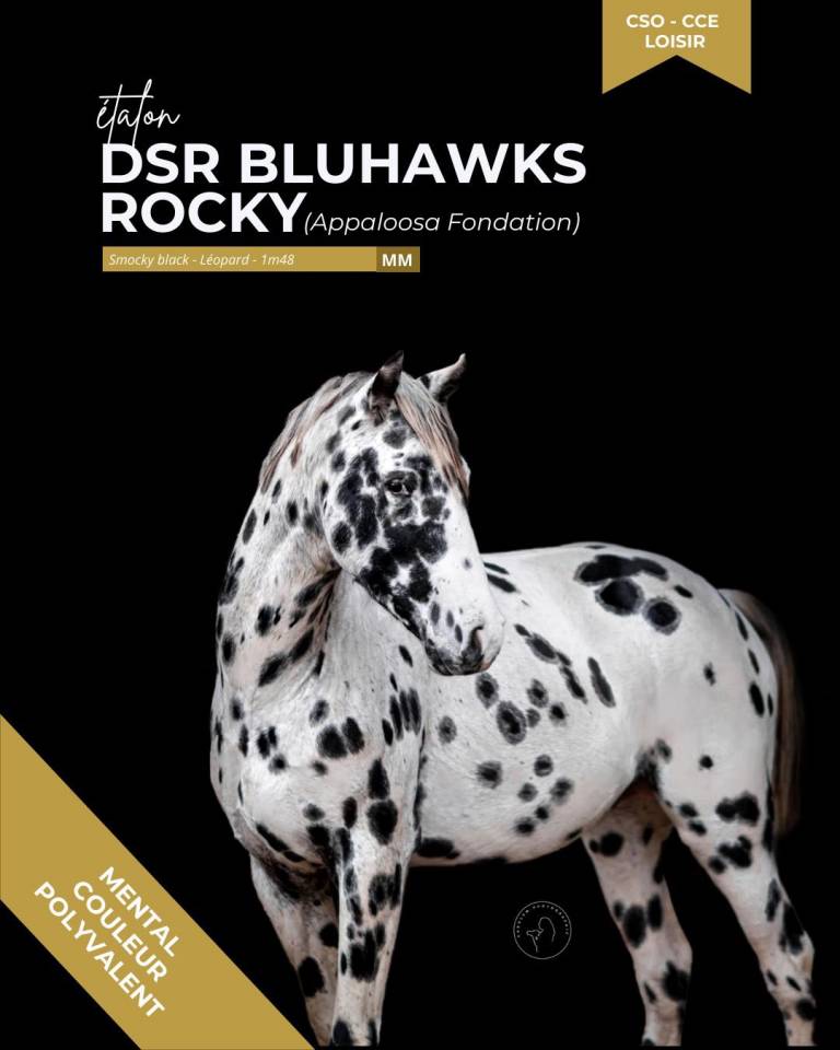 SAILLIES ETALON DE COULEUR 