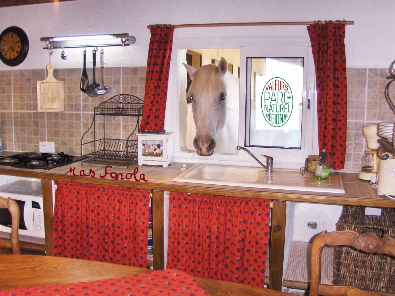 G&Icirc;TE EQUESTRE EN CAMARGUE