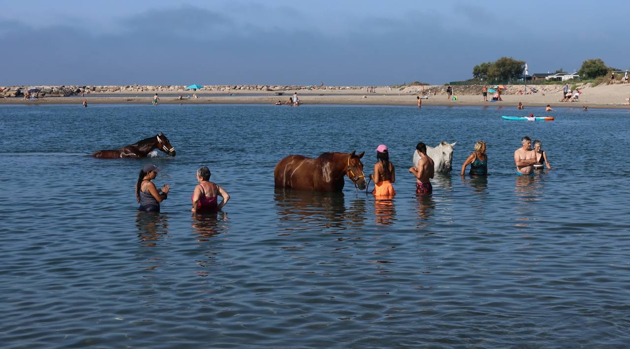 G&Icirc;TE EQUESTRE EN CAMARGUE