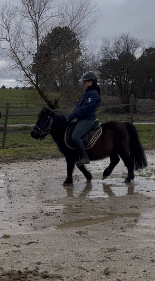 Nignonne d&rsquo;Alix 3 ans  future ponette de sport