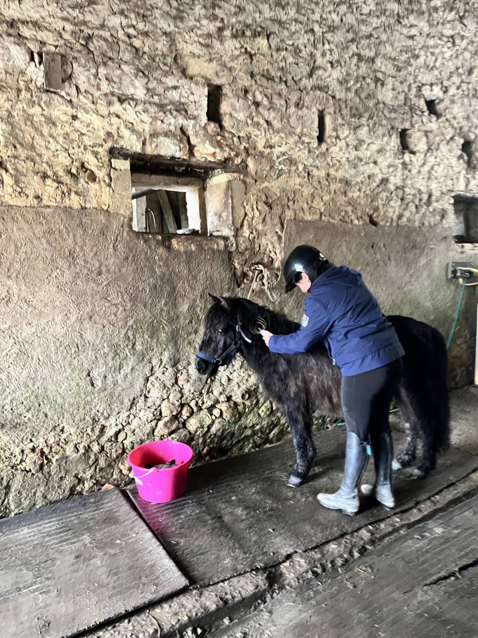 Nignonne d&rsquo;Alix 3 ans  future ponette de sport