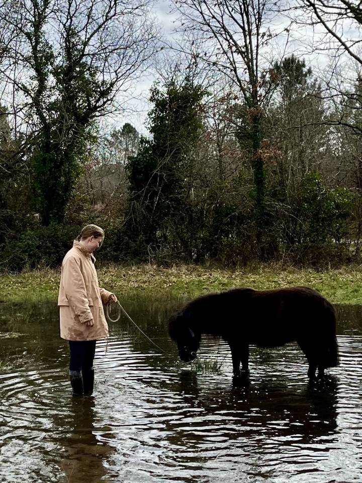 Nignonne d&rsquo;Alix 3 ans  future ponette de sport