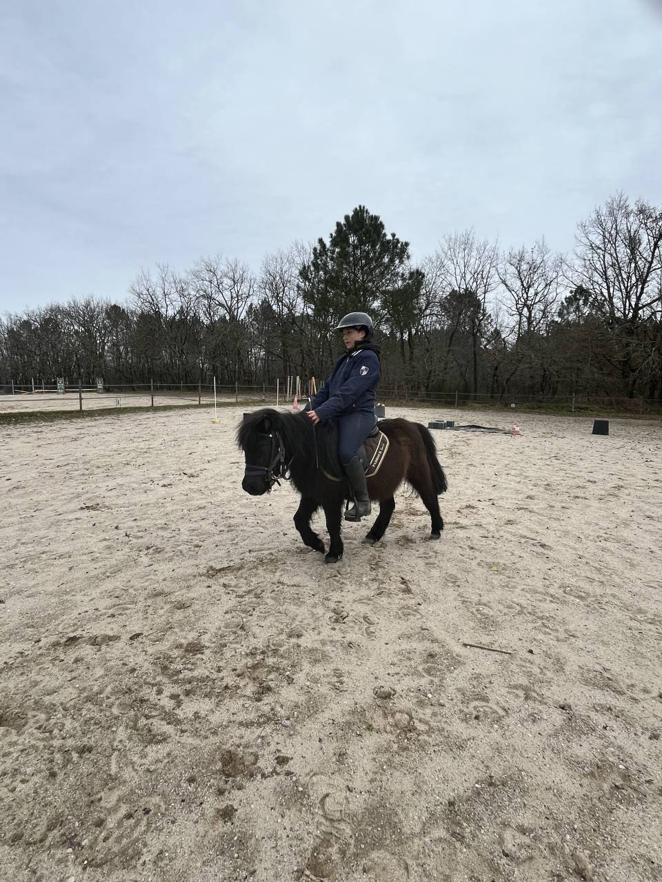 Nignonne d&rsquo;Alix 3 ans  future ponette de sport