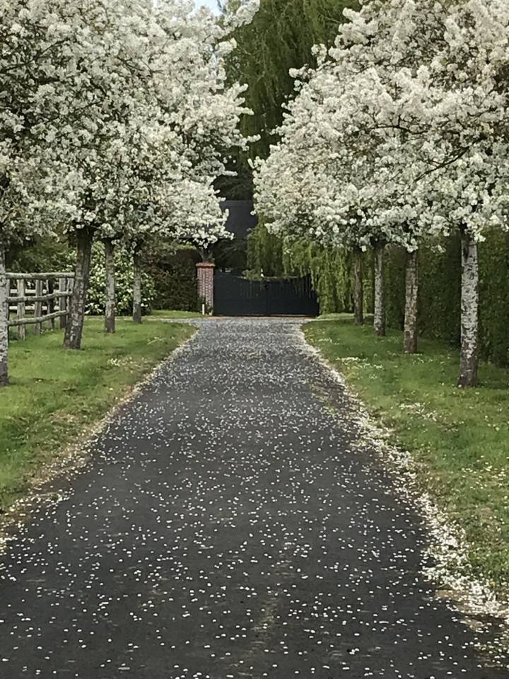 Normandie Pays d'Auge : Propri&eacute;t&eacute; &eacute;questre 25 hectares