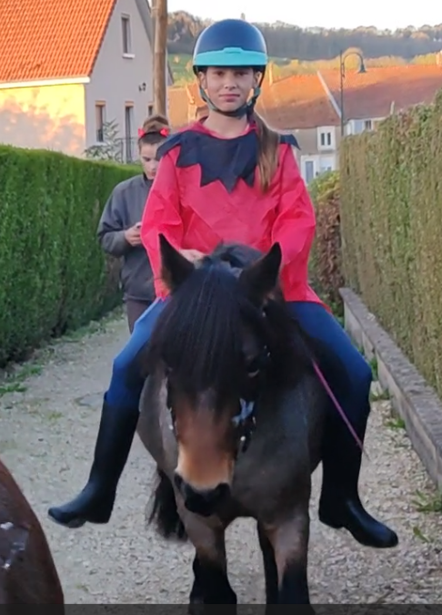 ponette welsh part bred&nbsp; - 1.25