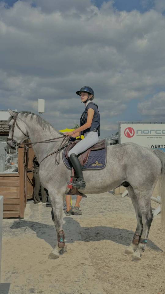 Vendre cheval Christophorus Z