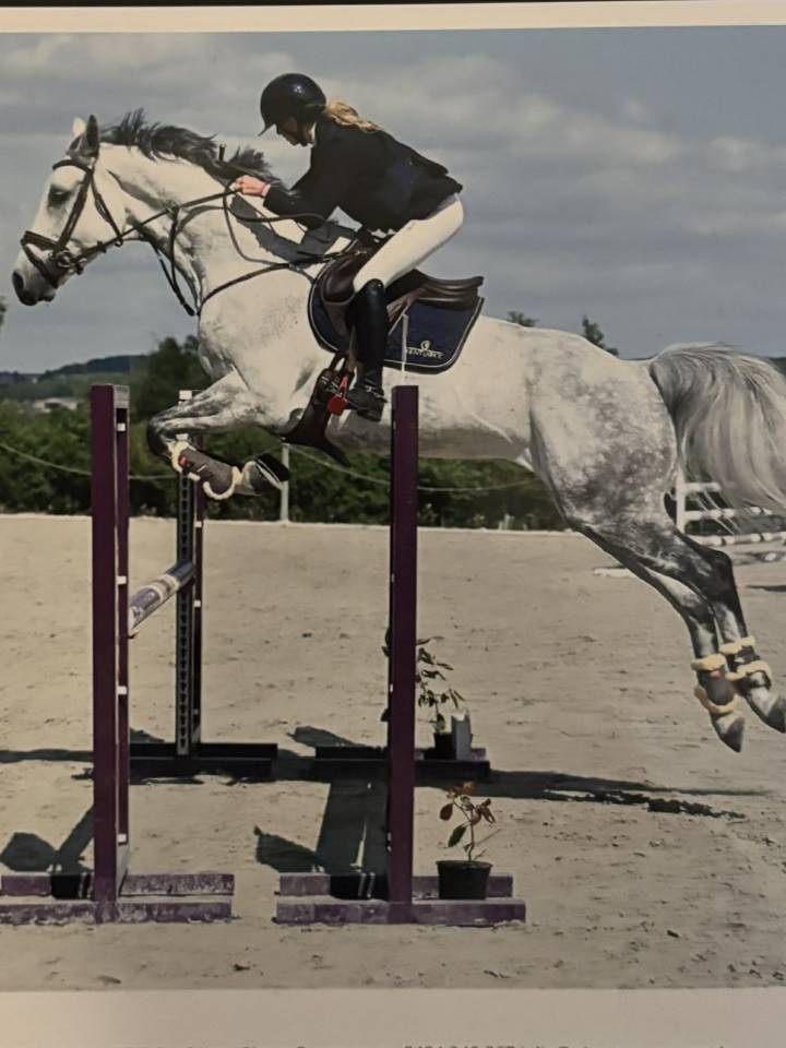 Vendre cheval Christophorus Z