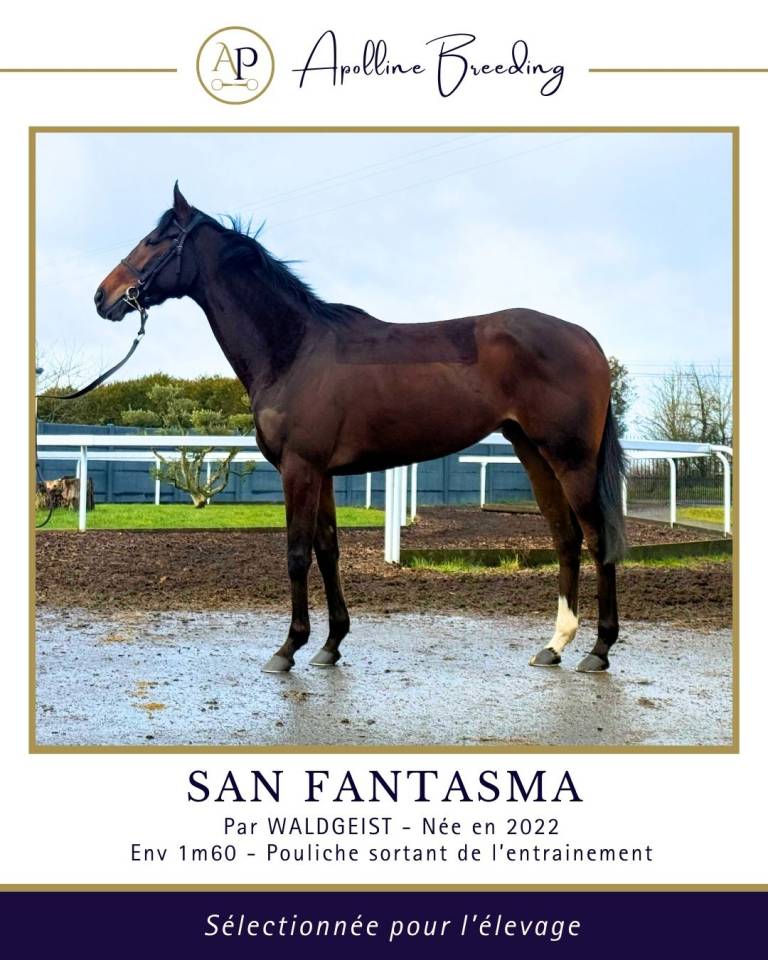 J. gagnante pr courses ou &eacute;levage / Fille & soeur de BT