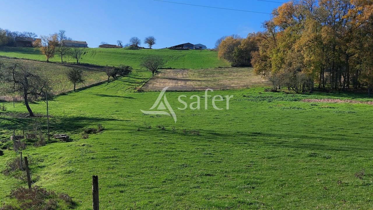 Exploitation d'&eacute;levage sur 104ha, proche Rib&eacute;rac