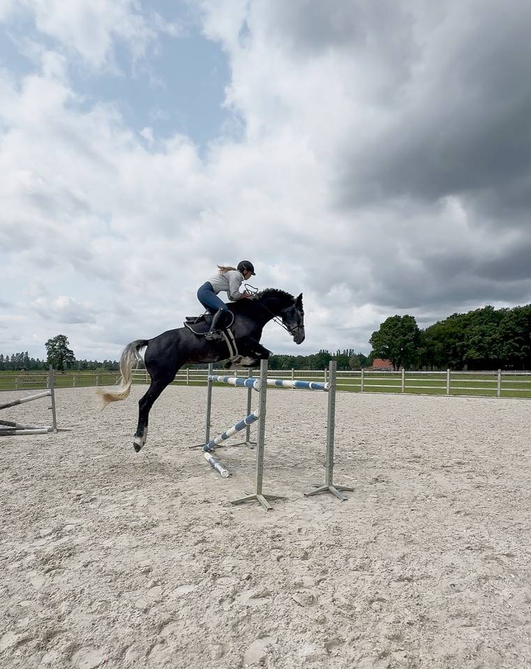 &Eacute;curie  professionnelle recherche 3 chevaux 