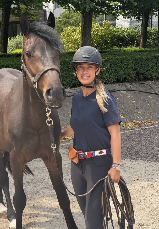 &Eacute;curie  professionnelle recherche 3 chevaux 