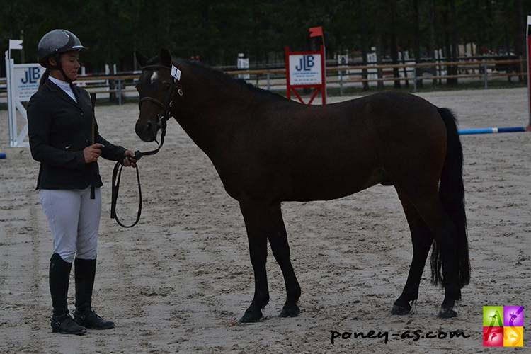 Mod&egrave;le, qualit&eacute; de saut, allures, vrai poney d'enfant