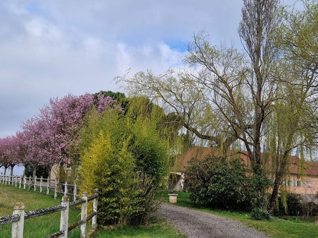 Haras d'&eacute;levage de 39 hectares (71)