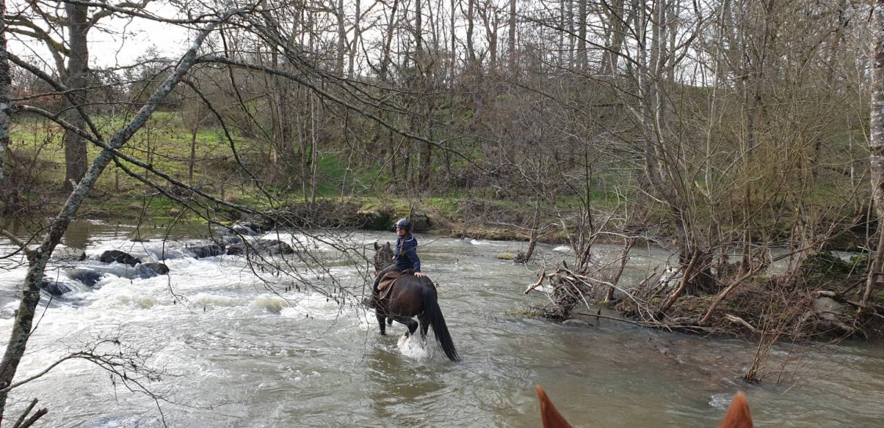 La Vall&eacute;e de la Vienne