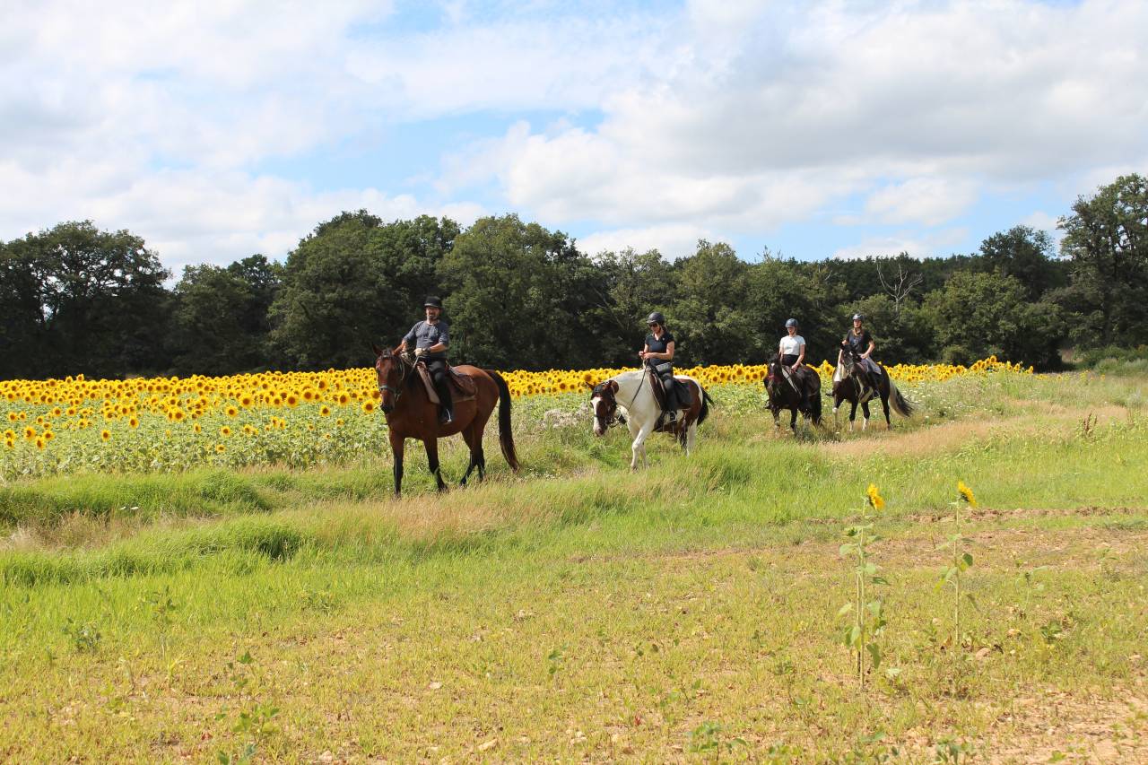 La Vall&eacute;e de la Vienne