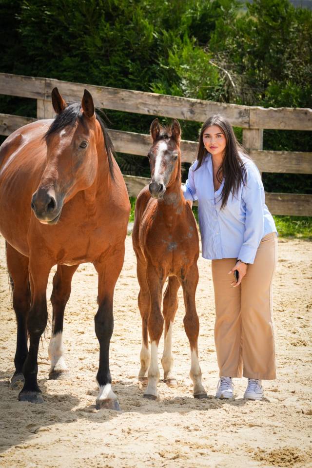 Jument SF &agrave; vendre 