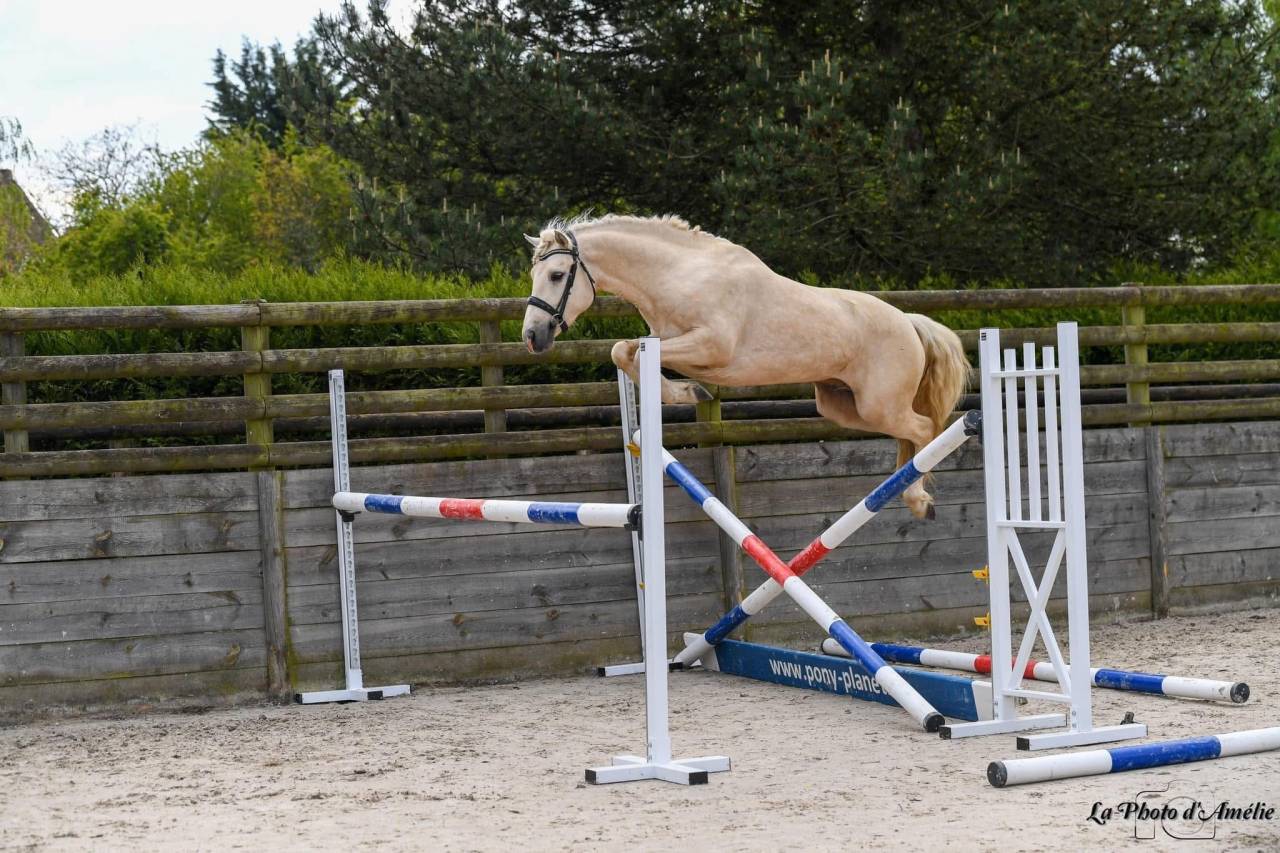 Sienna Lumina d&rsquo;Alam 