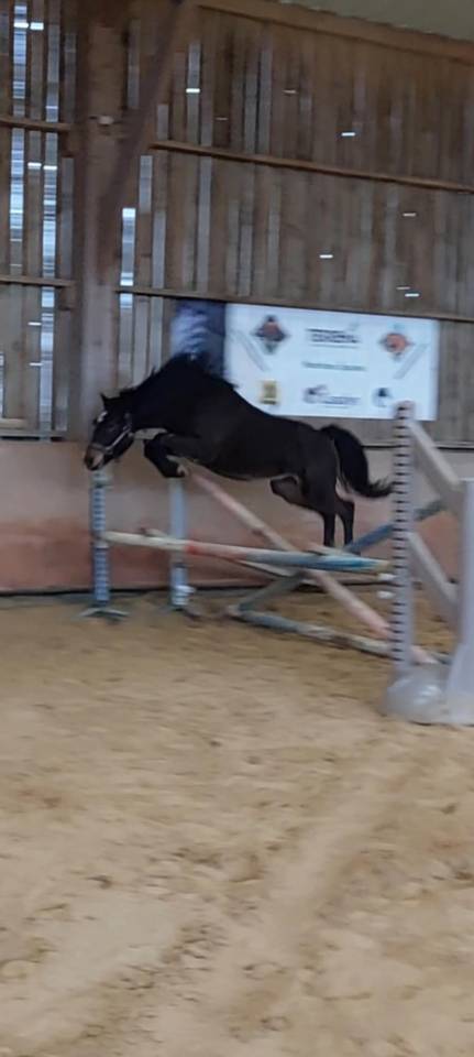 Pl&eacute;iade Endhil Alam