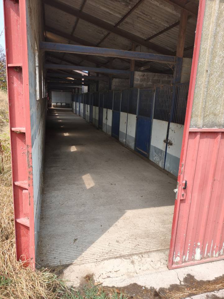 Propri&eacute;t&eacute; agricole - anciens haras nationaux