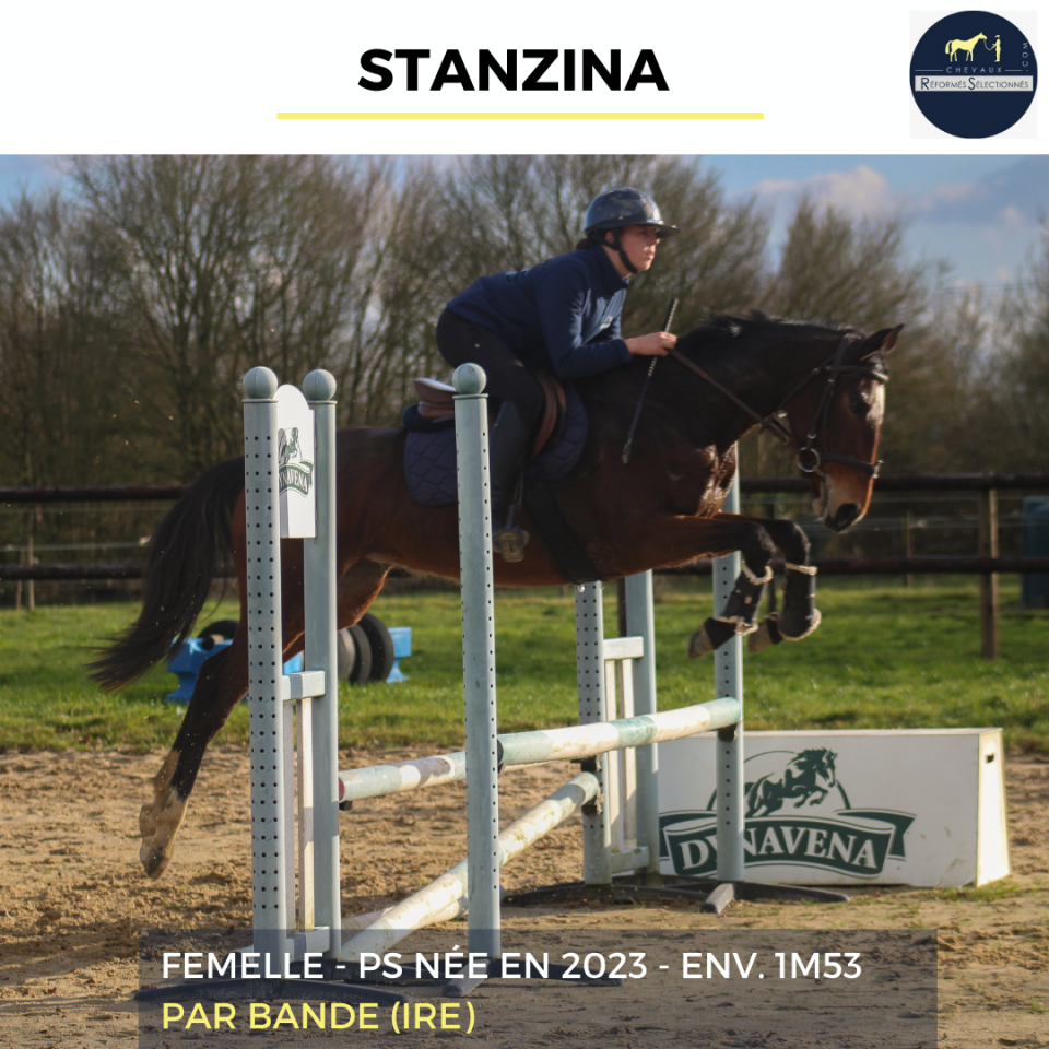 STANZINA - PS - 3 ANS
