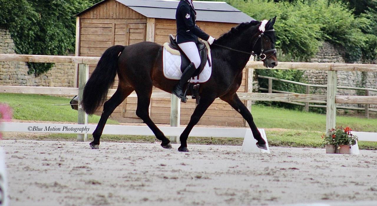 Virtuose de Marli&egrave;re