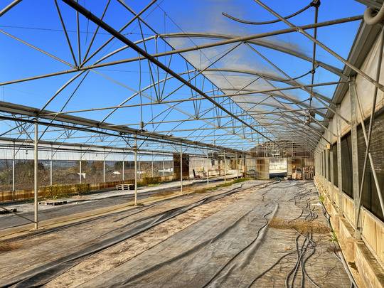 Maison contemporaine 6 pi&egrave;ces CONTAMINE SUR ARVE (74)