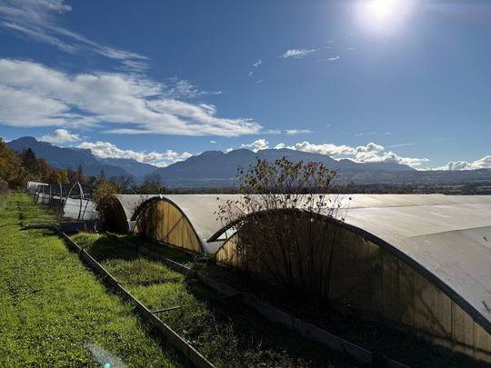Maison contemporaine 6 pi&egrave;ces CONTAMINE SUR ARVE (74)