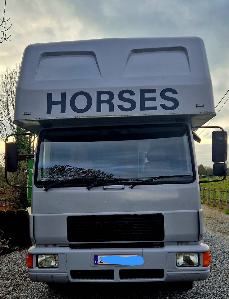 Camion MAN 4 chevaux a vendre