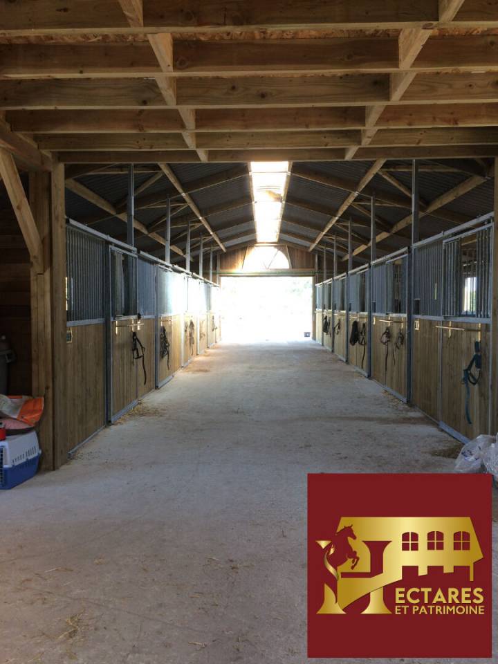 PROPRIETE EQUESTRE - MAISON + INSTALLATIONS + HECTARES