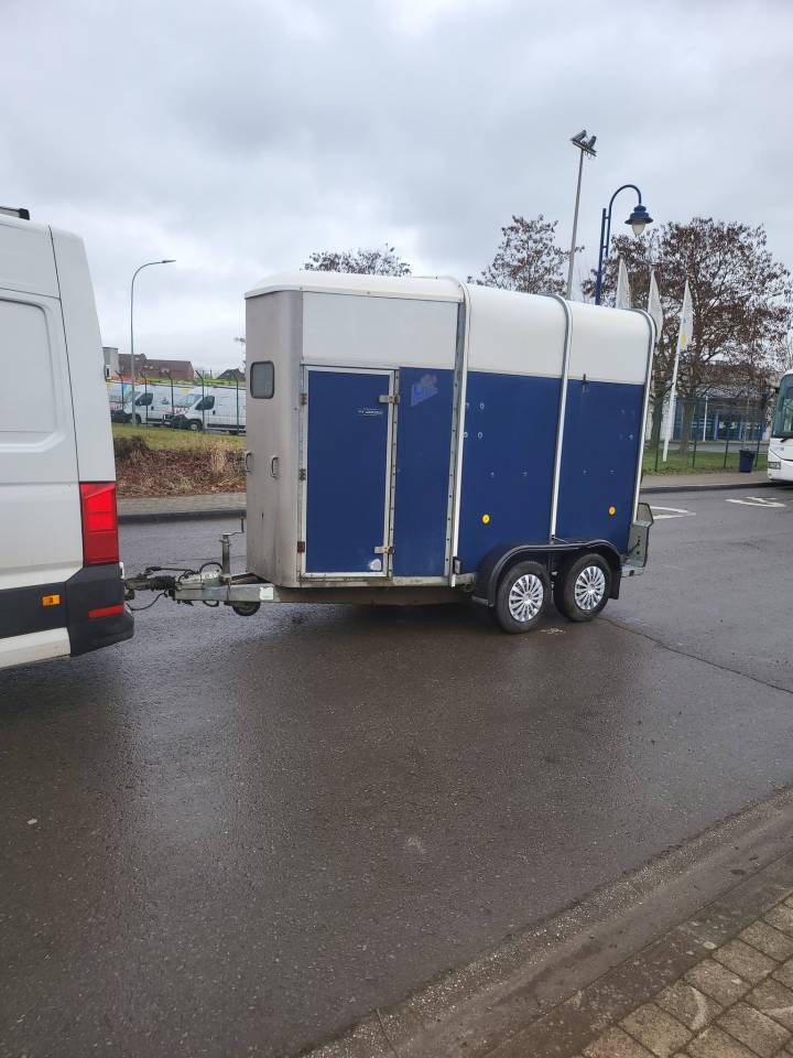 superbe beau van iforwilliam