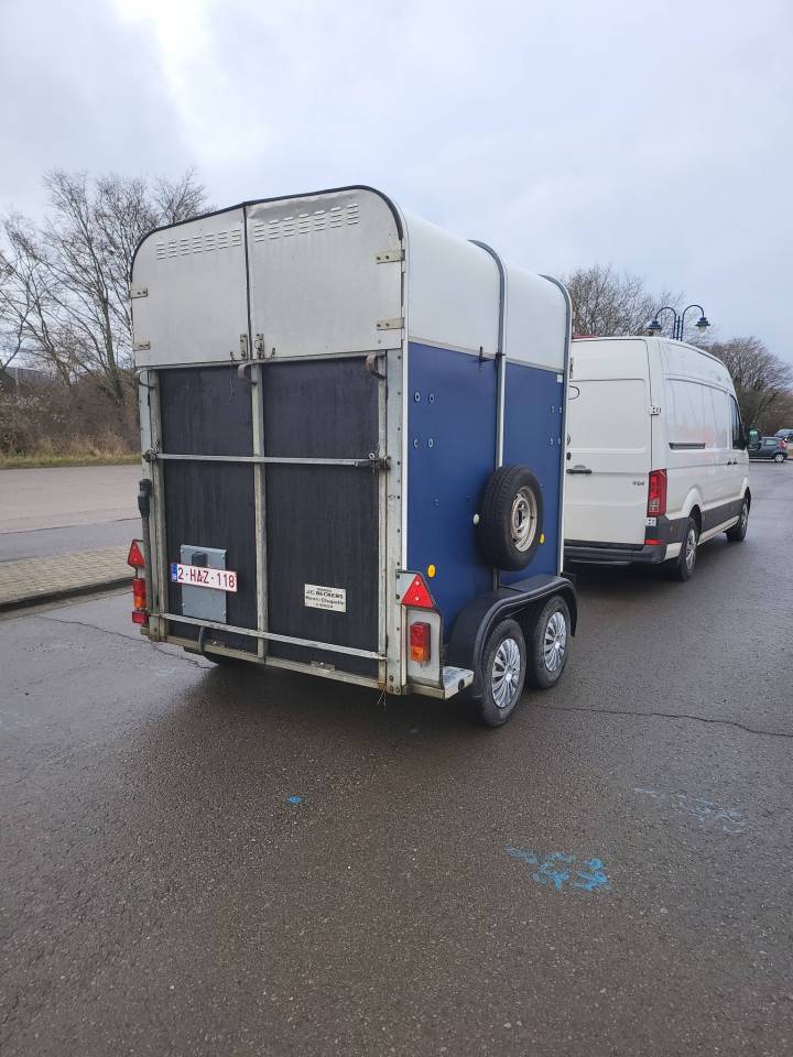 superbe beau van iforwilliam