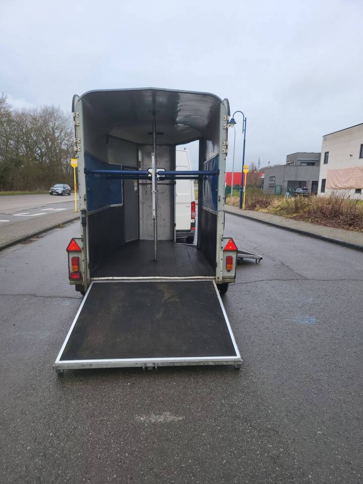 superbe beau van iforwilliam