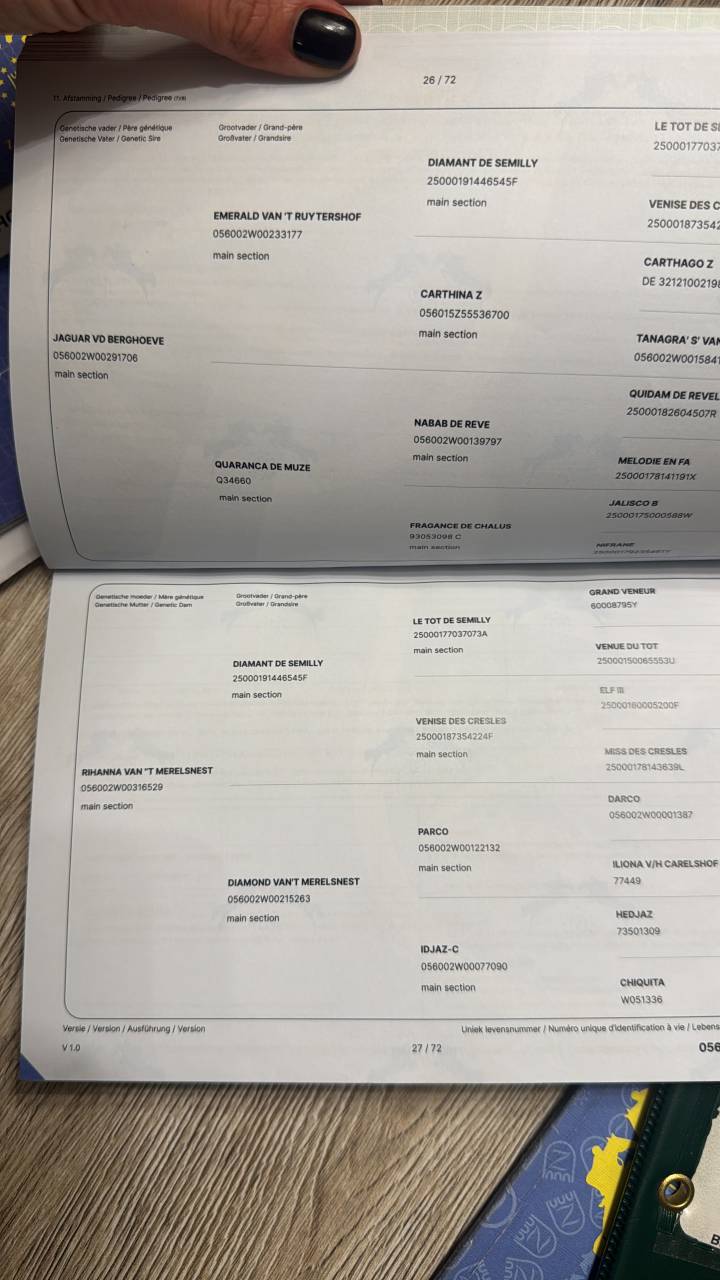 MAGNIFIQUE JEUNE 3 ans 