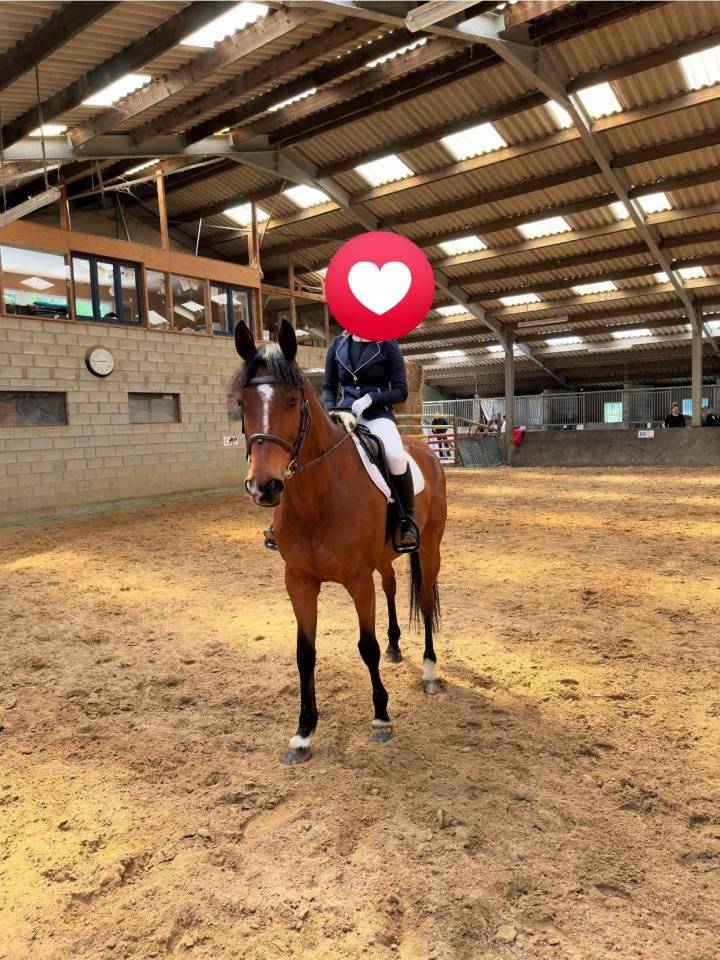 Cheval &agrave; vendre 