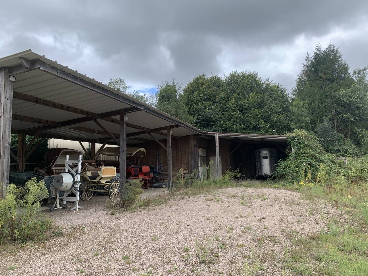Domaine entre Rouen et Le Havre (for&ecirc;t de Brotonne) 