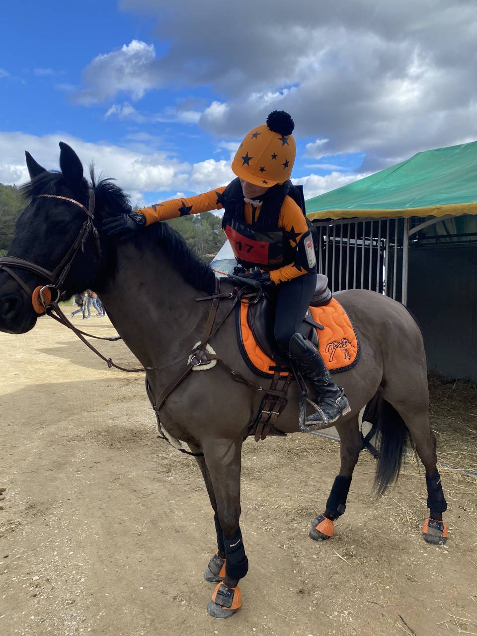 Poney D selle Fran&ccedil;ais 