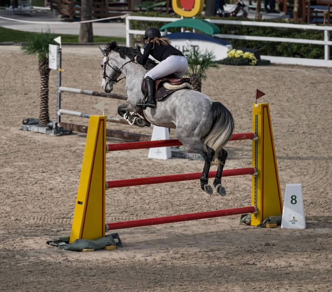 TOP CHEVAL IDEAL CIRCUIT JUNIOR/CHILDREN