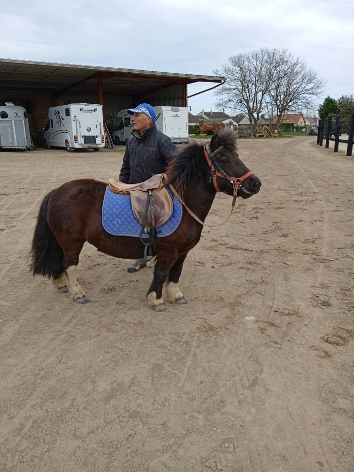 ETALON SHETLAND  A VENDRE   