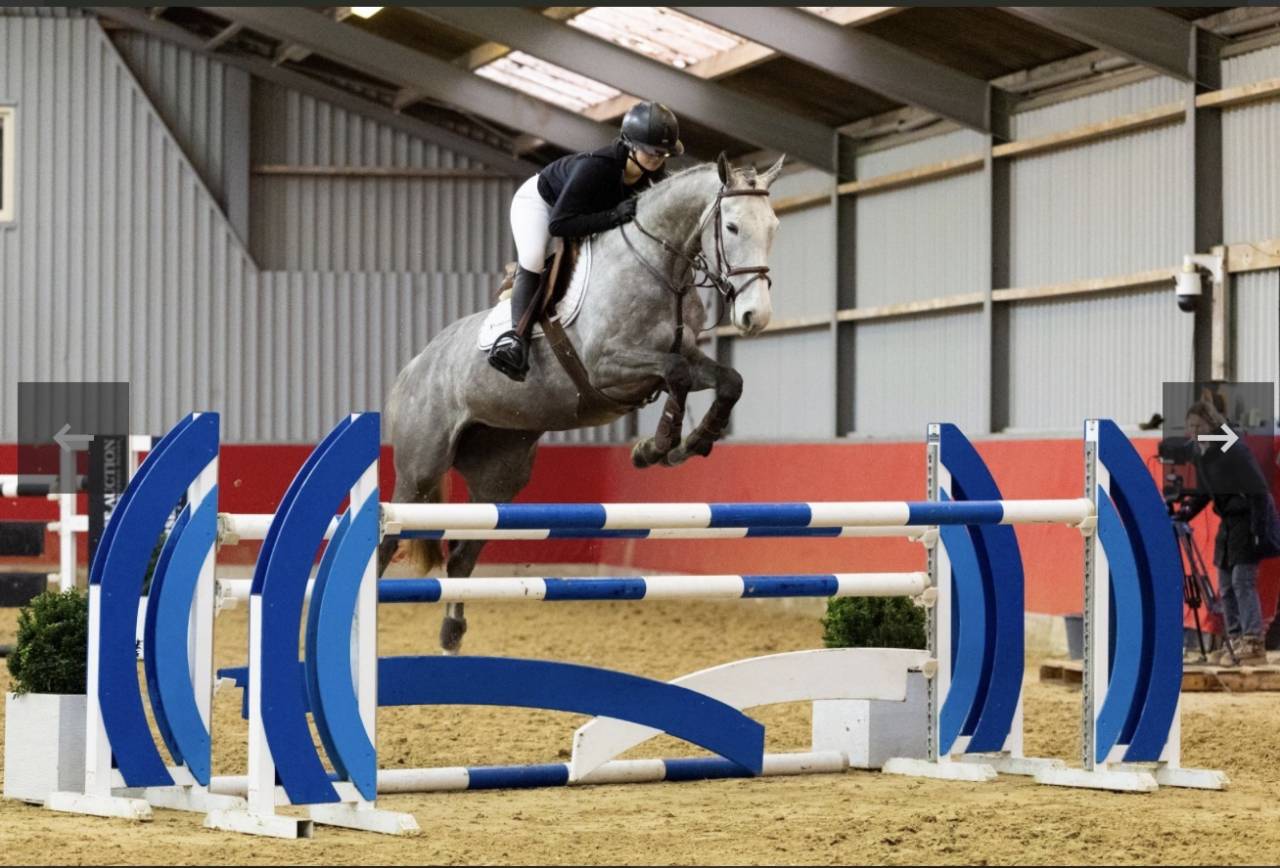 Jument amateur &eacute;lite 